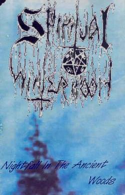 Nightfall in the Ancient Woods